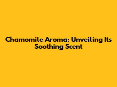 Chamomile Aroma: Unveiling Its Soothing Scent